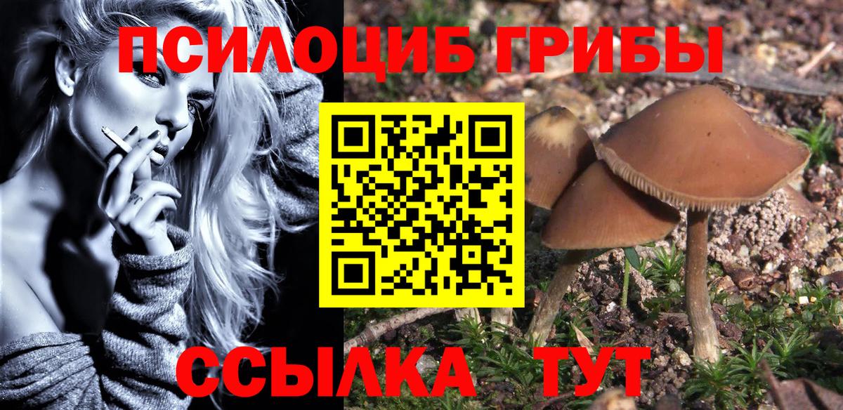 Сызрань  Галлюциногенные грибы ЛСД  Псилоцибиновые грибы Psilocybine cubensis  Вход с VPN 