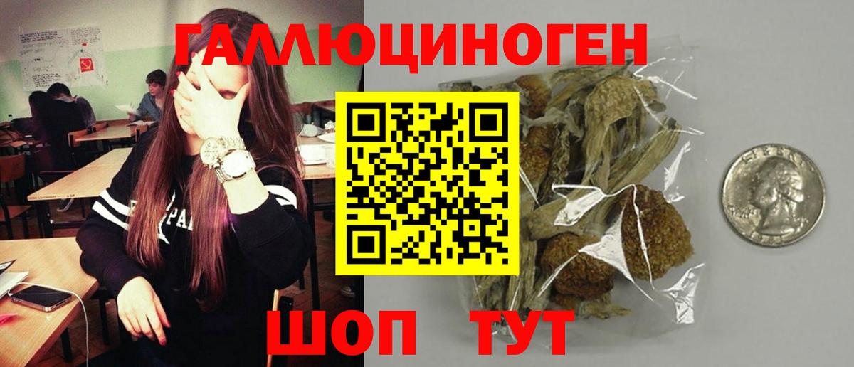 Псилоцибиновые грибы Cubensis Сызрань